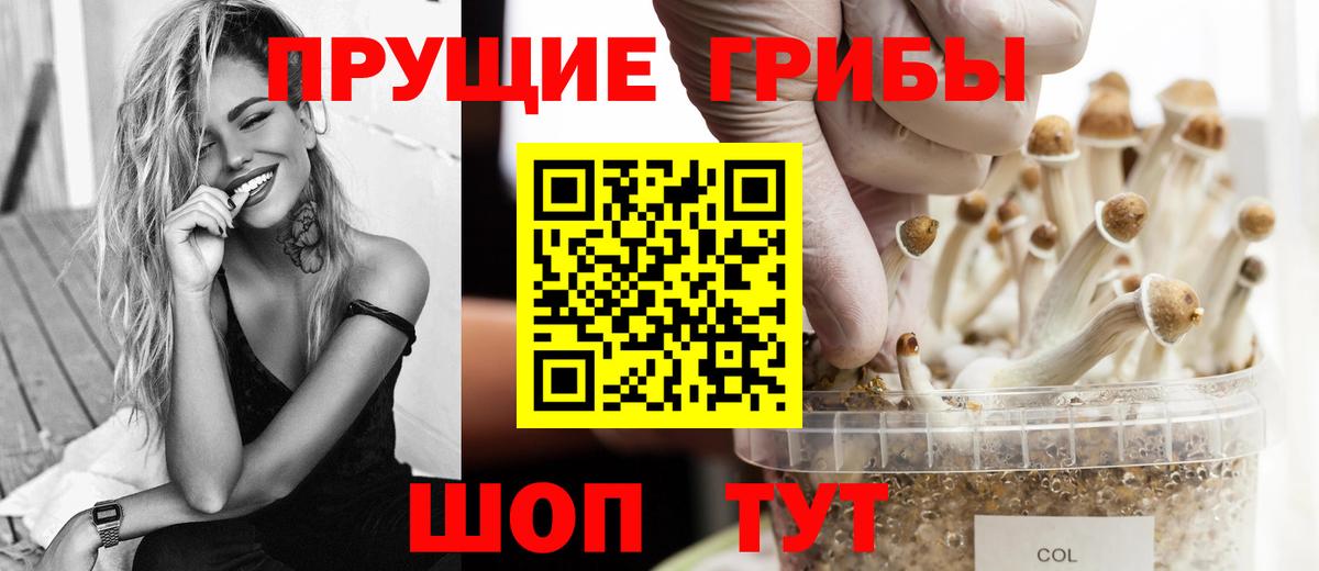 Псилоцибиновые грибы Psilocybe  купить  сайты  Зеленодольск  Псилоцибиновые грибы мухоморы  Вход с VPN 